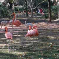 Best zoo so far