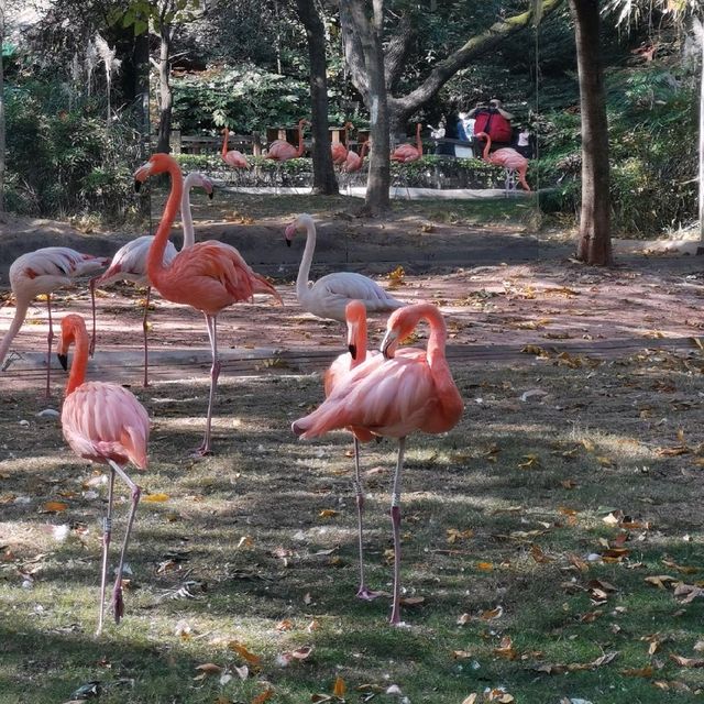 Best zoo so far