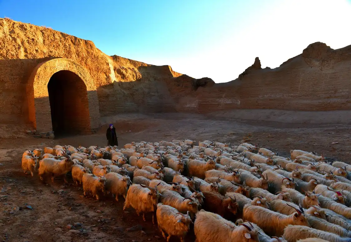 Hotels near Yongtai Ancient City