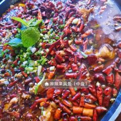 聂发财来凤鱼·重庆头牌江湖菜(解放碑店) User Photo