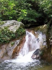 楊東山十二度水自然保護区