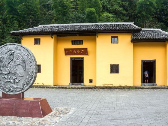 Jinggang Mountain Mint