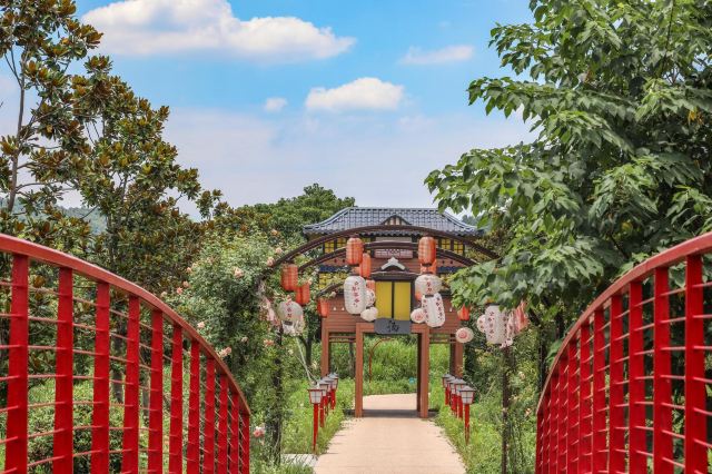 德清下渚湖濕地公園