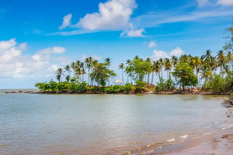 4-Star Hotels in French Guiana