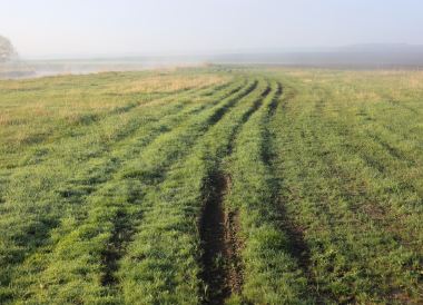 Stavropol