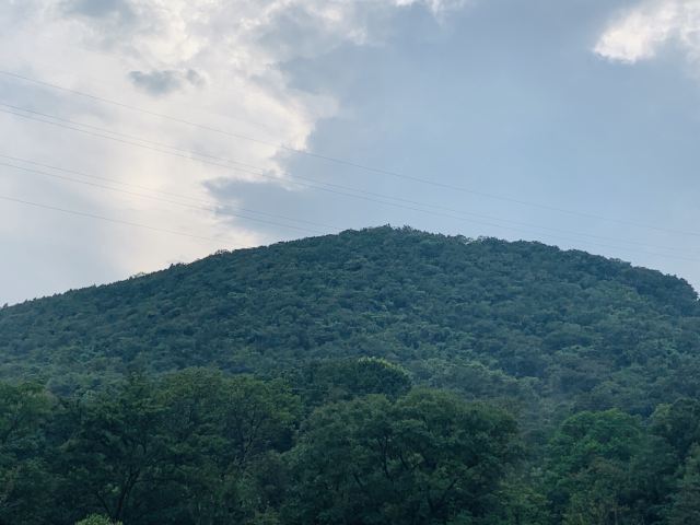 老山國家森林公園