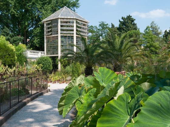 帕多瓦植物園