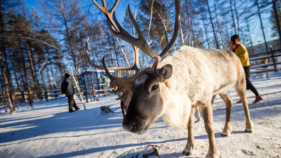 Budongxia Tribe Hunters Point