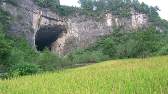 Dayou Cave