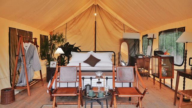 shu ye yan luo ye she ying di