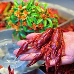 舞虾小说·老北京涮羊肉(国顺东路店) User Photo