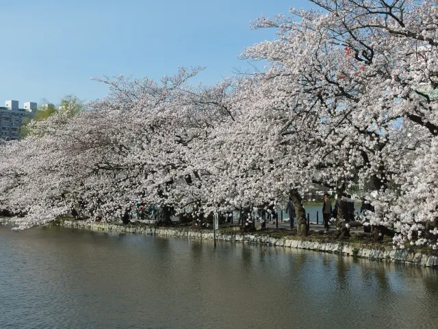 上野恩賜公園