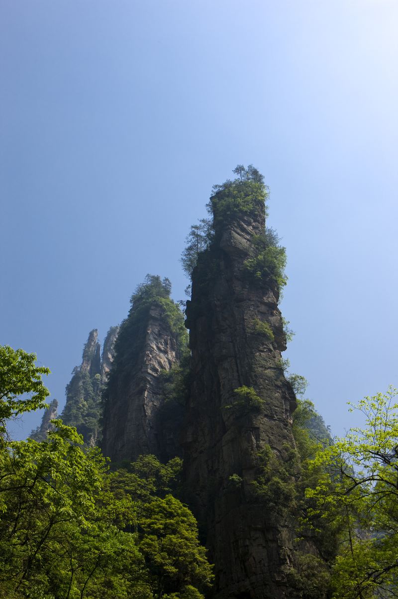 Literary Giant Stone