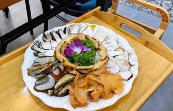 阿鵬故事野生菌物料海景餐廳