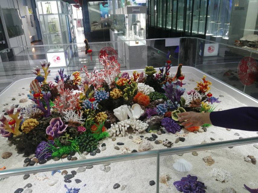 蛇口好去處, 深圳蛇口海洋科普館