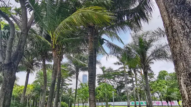 2_紅樹林海濱生態公園