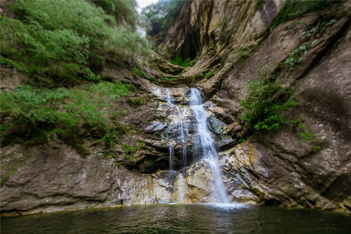 4_太平國家森林公園