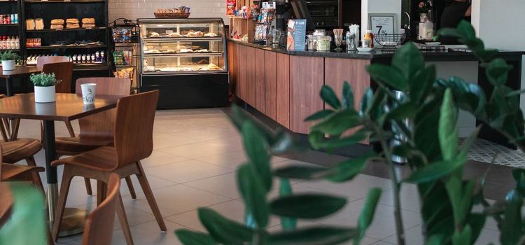 CAFÉ 1736- Wyndham Palmas