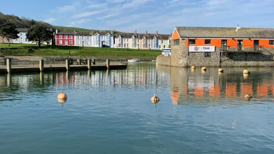 The Hive Aberaeron