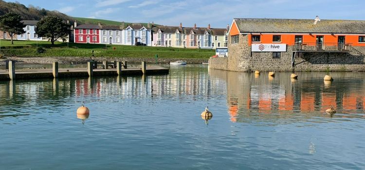The Hive Aberaeron