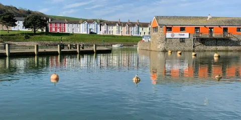 The Hive Aberaeron