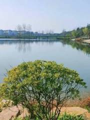 東風湖生態公園
