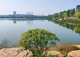 Dongfeng Lake Ecological Park