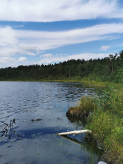 Varnikai Nature Trail