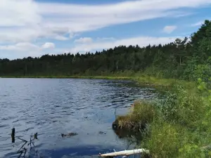 Varnikai Nature Trail