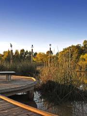 Blue Hills Wetland