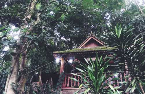 bing lang yuan