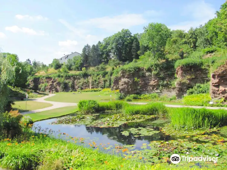 Hotels near Killesbergpark