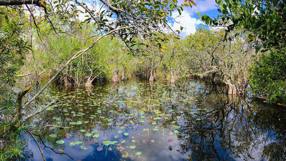 Shark Valley Visitor Center
