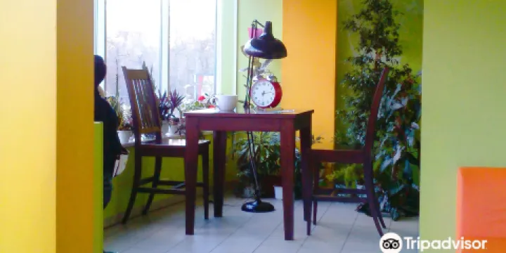 Museum of Interesting Science