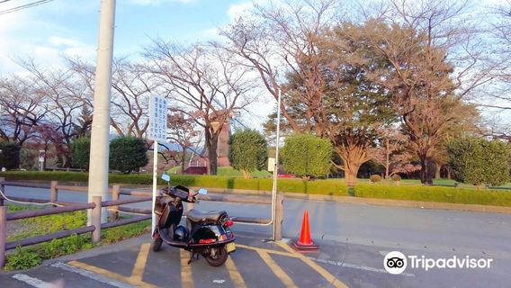 Roadside Station Green Flower Ranch Ogo