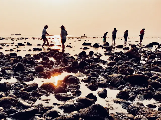 Beachcombing in Sanya