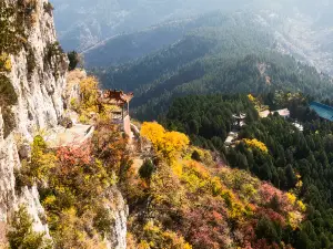 제산