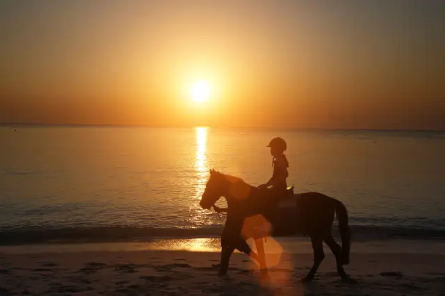 Horse Riding in Phuket