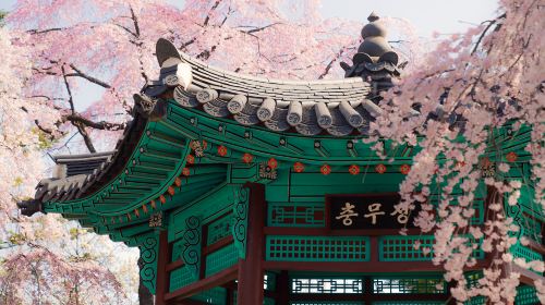 Namsan Mountain Park