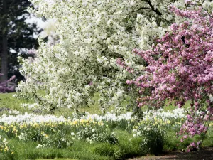New York Botanical Garden