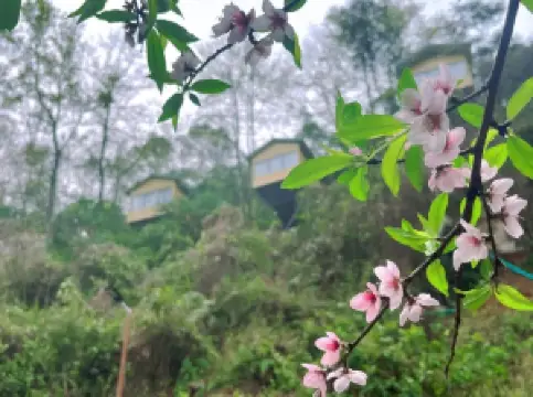 Xianmen Qixia Scenic Area