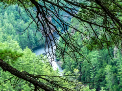 Algonquin Provincial Park