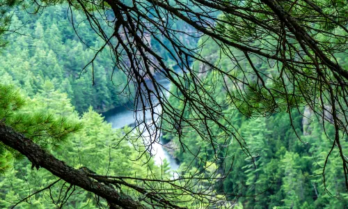 Algonquin Provincial Park