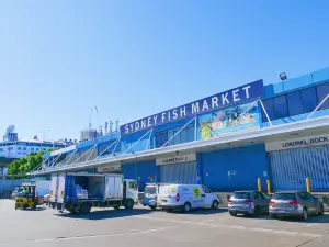 Popular Best Things to Do in Pyrmont