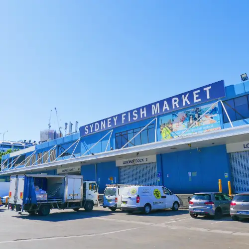 悉尼魚市