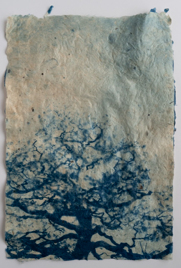 2025巴塞爾攝影展 | 巴塞爾