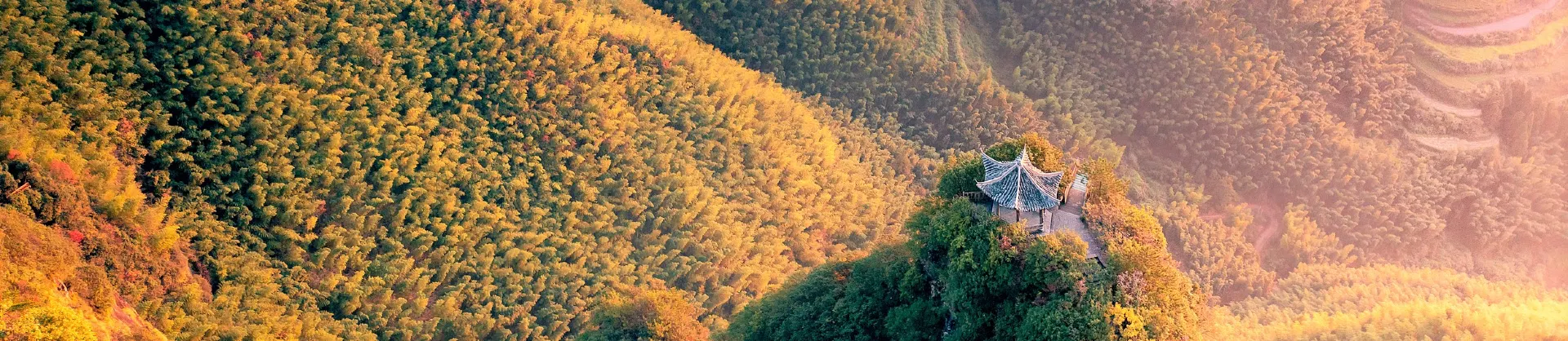 Attrazioni per la visione autunnale
