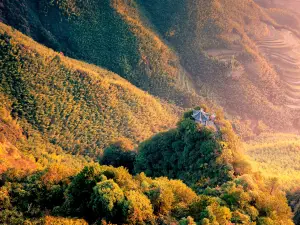 Popular Fall Viewing Attractions in Suichang