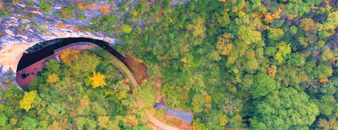 Attrazioni per la visione autunnale