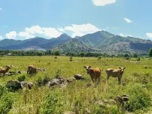 Sumbawa
